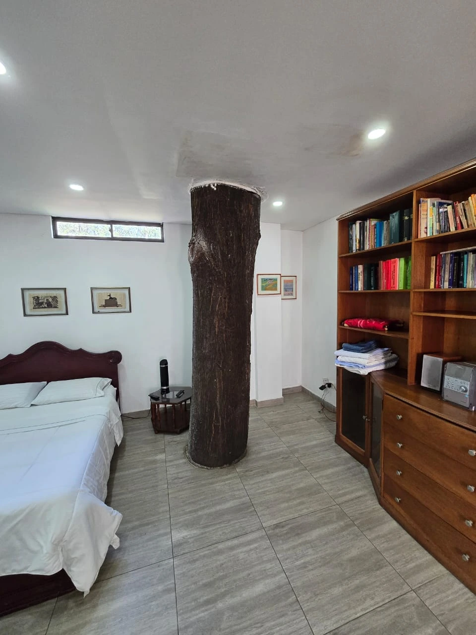 araucaria-junto-a-cama-doble-apto-3c