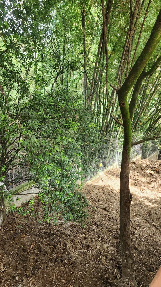 naturaleza-apto-2a