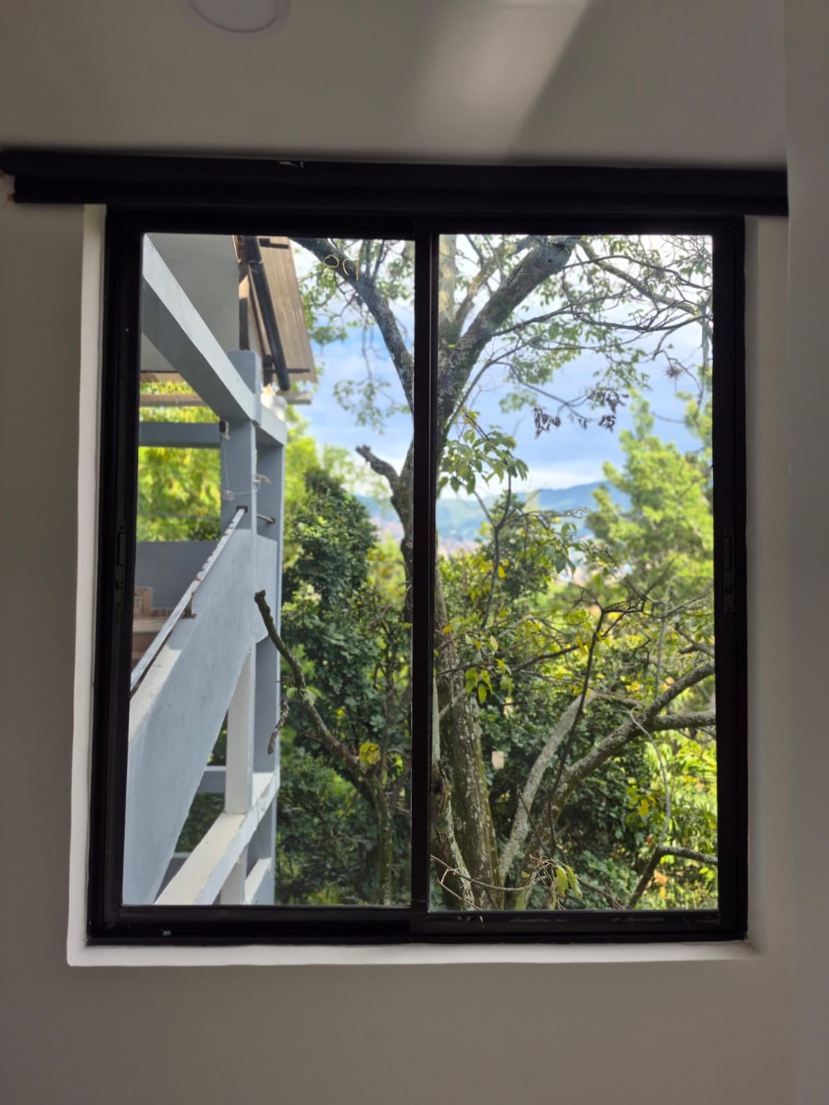 Foto de Luisfer(26)